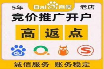 百度SEO推广公司案例解析：实战优化技巧全解读